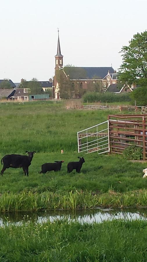 ZegveldHet Kraaienbosch住宿加早餐旅馆 外观 照片