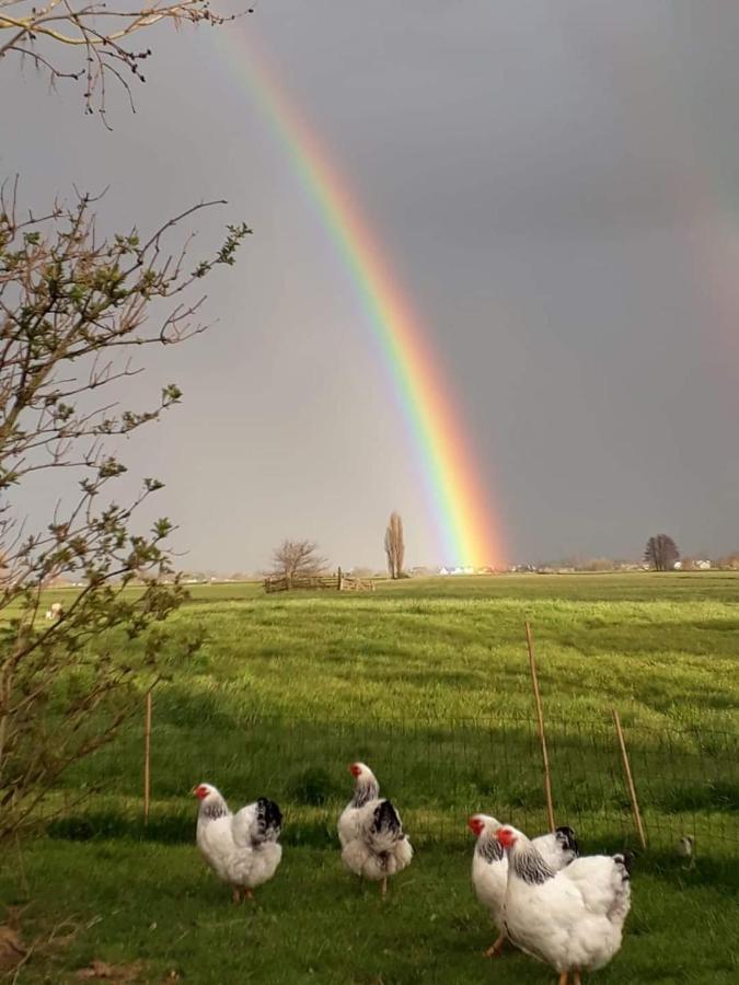 ZegveldHet Kraaienbosch住宿加早餐旅馆 外观 照片